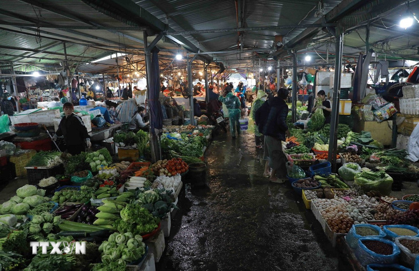 Giá rau xanh hiện đã hạ nhiệt, ngoại trừ ca chua và ớt. (Ảnh: Vũ Sinh/TTXVN)