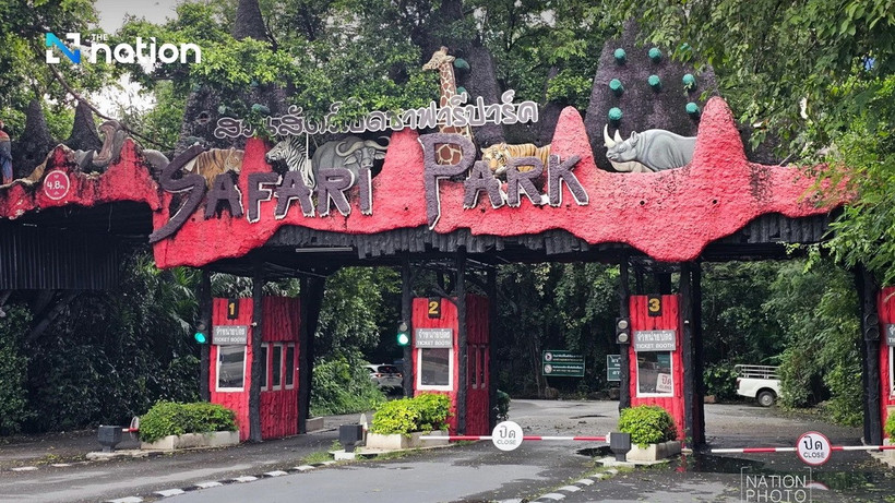 Safari World ở Bangkok bị đóng cửa điều tra sau vụ một nhân viên bị một đàn sư tử tấn công dẫn đến tử vong. (Ảnh: nationthailand)