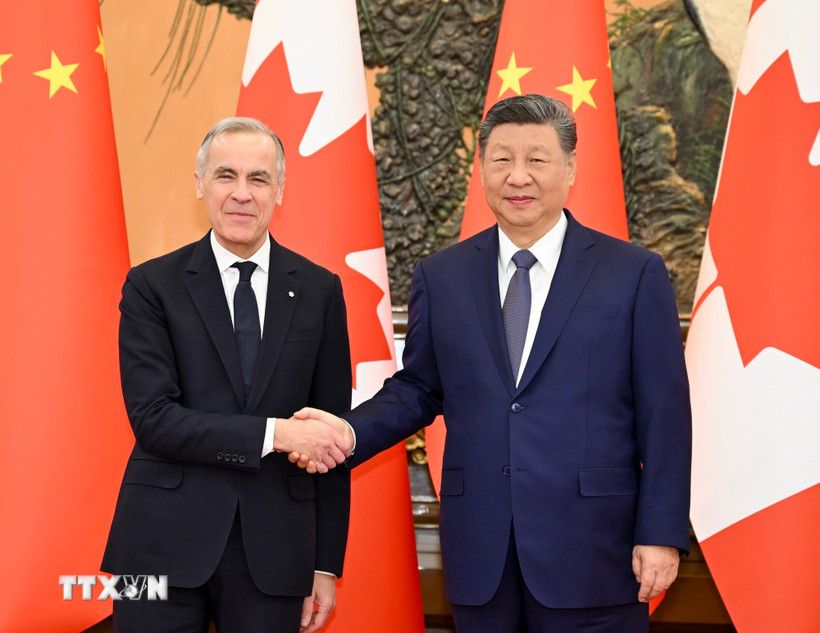 Thủ tướng Canada Mark Carney (trái) và Chủ tịch Trung Quốc Tập Cận Bình tại cuộc hội đàm ở Bắc Kinh ngày 16/1/2026. (Ảnh: THX/TTXVN)