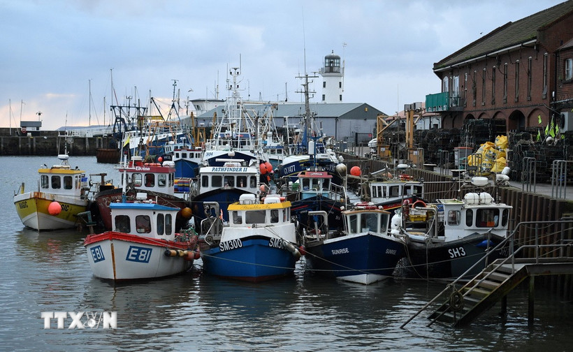 Thuyền đánh cá neo tại cảng ở Scarborough, Anh ngày 4/1/2021. (Ảnh: AFP/TTXVN)