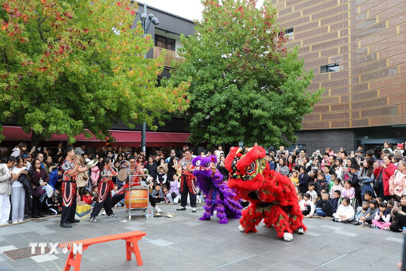Múa lân, một trong những hoạt động hấp dẫn nhất của Lễ hội Trung Thu. (Ảnh: Minh Hợp/TTXVN)