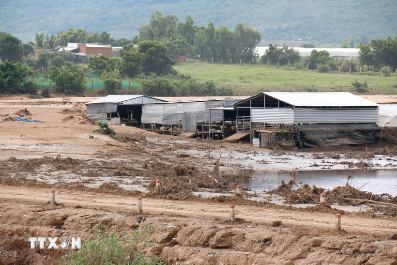 Ảnh minh họa. (Ảnh: Nguyễn Thanh/TTXVN)