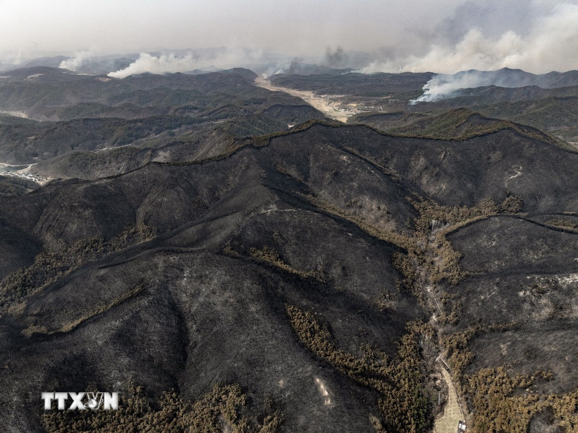 Khói bốc lên từ đám cháy rừng tại Andong, tỉnh Bắc Gyeongsang, Hàn Quốc. (Ảnh: Yonhap/TTXVN)