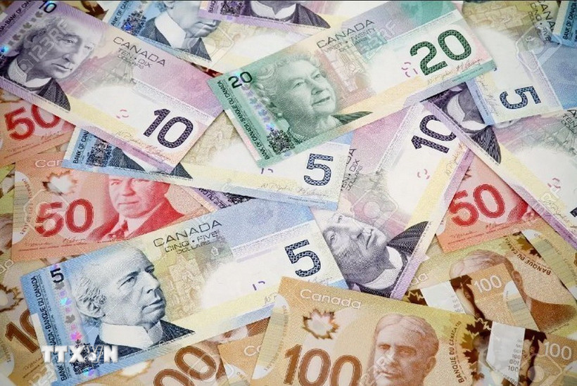 Đồng đôla của Canada. (Ảnh: CFI/TTXVN)