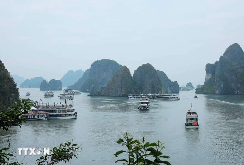 Tái diễn tình trạng nuôi trồng thủy sản trái phép trên Vịnh Hạ Long. (Ảnh minh họa: Hoàng Hiếu/TTXVN)