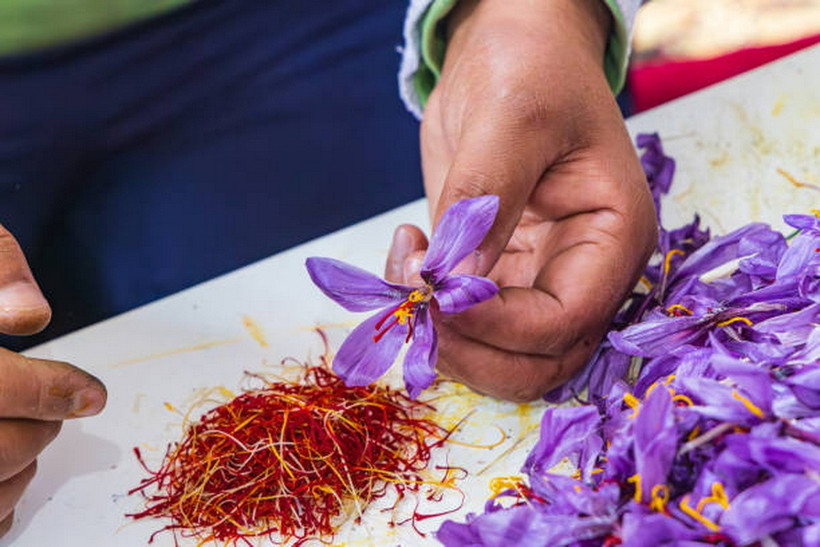 Saffron - "Vàng đỏ" của Trung Đông có nhiều lợi ích cho sức khỏe. (Ảnh: iStock)