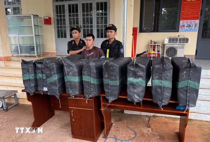 Tang vật vụ án. (Ảnh: Đậu Tất Thành/TTXVN)