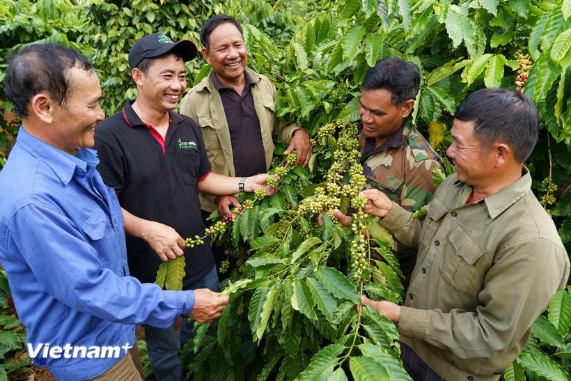 Nestlé đồng hành cùng hàng triệu người lao động Việt Nam.