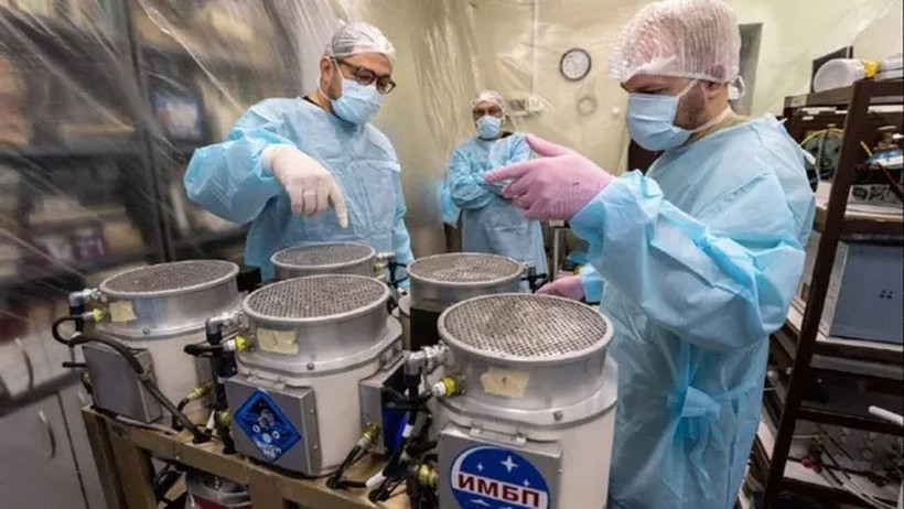 Vệ tinh sinh học của Nga sẽ nuôi 75 con chuột trong một tháng trên vũ trụ. (Nguồn: Roscosmos)