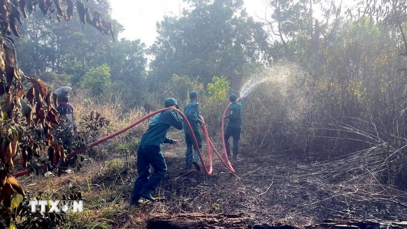 Hiện trường vụ cháy. (Ảnh: TTXVN phát)