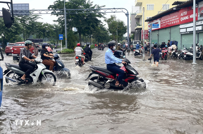 Triều cường dâng cao trên đường Phạm Hữu Lầu, Thành phố Hồ Chí Minh sáng 6/11/2025. (Ảnh: Hương Giang/TTXVN)