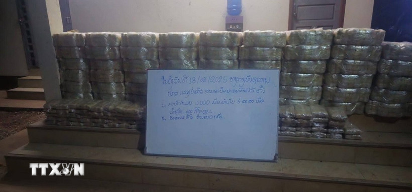 Số ma túy bị Công an tỉnh Bokeo, Bắc Lào thu giữ. (Ảnh: TTXVN phát)