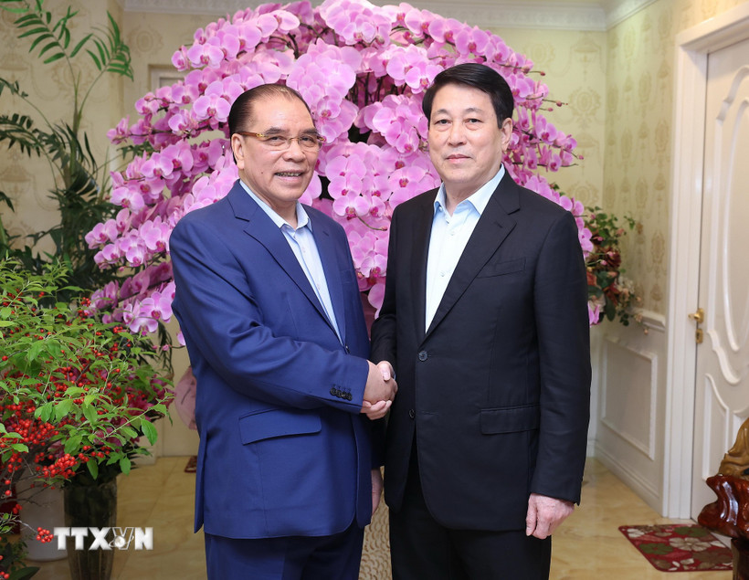 Chủ tịch nước Lương Cường thăm, chúc Tết nguyên Tổng Bí thư Nông Đức Mạnh. (Ảnh: Lâm Khánh/TTXVN)