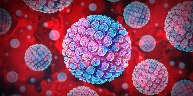 Nghiên cứu cho thấy các kháng thể phản ứng sai hướng sau khi nhiễm EBV có thể đóng một vai trò nhất định. (Nguồn: iStock)