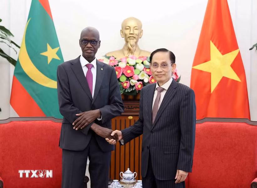 Bộ trưởng Bộ Ngoại giao Lê Hoài Trung và Bộ trưởng, Tổng Thư ký Chính phủ Cộng hòa Hồi giáo Mauritania Moctar Al Housseynou Lam. (Ảnh: An Đăng/TTXVN)