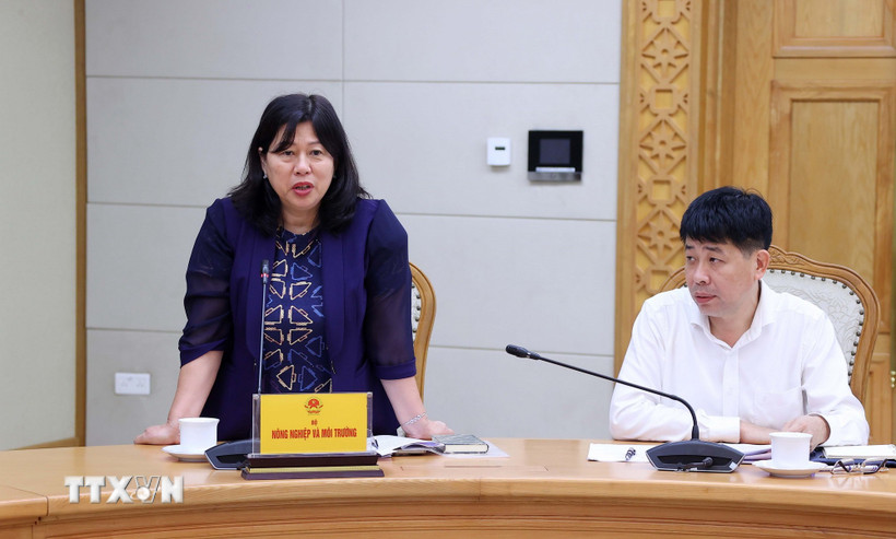 Thứ trưởng Bộ Nông nghiệp và Môi trường Nguyễn Thị Phương Hoa Ủy viên Ban Chỉ đạo thay thế ông Lê Công Thành. (Ảnh: Văn Điệp/TTXVN)