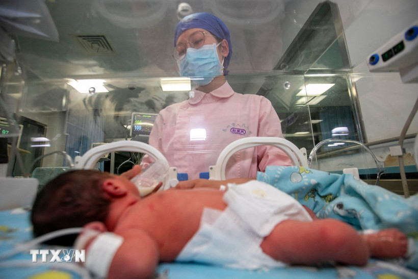 Chăm sóc trẻ sơ sinh tại bệnh viện ở tỉnh Chiết Giang, Trung Quốc. (Ảnh: AFP/TTXVN)