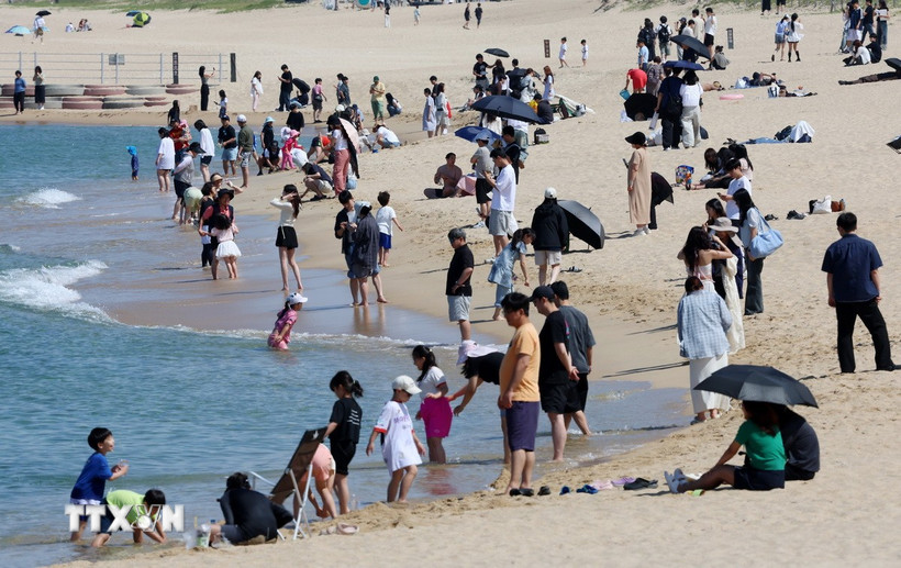 Người dân tránh nóng trên bãi biển tại Gangneung, Hàn Quốc. (Ảnh: Yonhap/TTXVN)