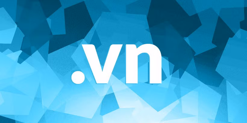 Nhiều tên miền ".vn" được đưa ra đấu giá. (Ảnh: Báo Chính phủ)