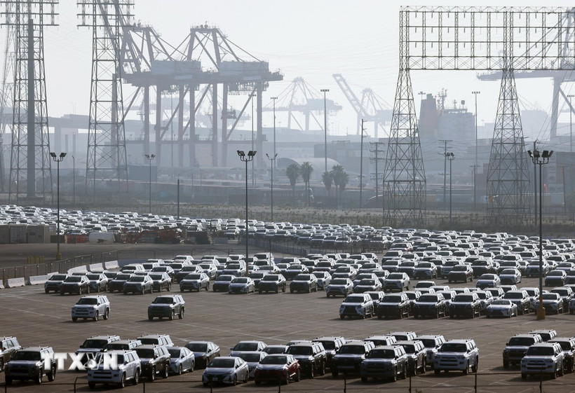 Xe ôtô nhập khẩu chờ bốc dỡ tại cảng Long Beach, California, Mỹ. (Ảnh: AFP/TTXVN)
