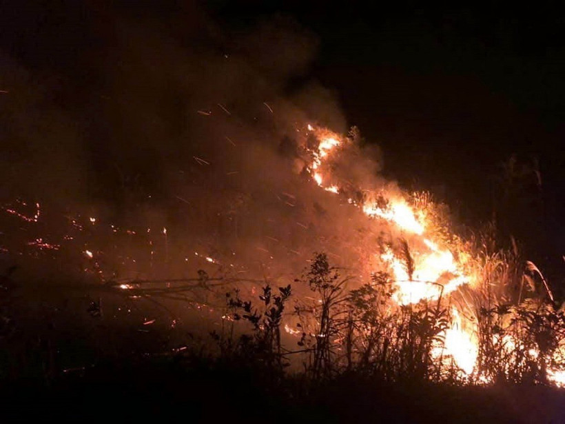 Đám cháy rừng tại phường Nam Khê, thành phố Uông Bí, tỉnh Quảng Ninh. (Ảnh: TTXVN phát)