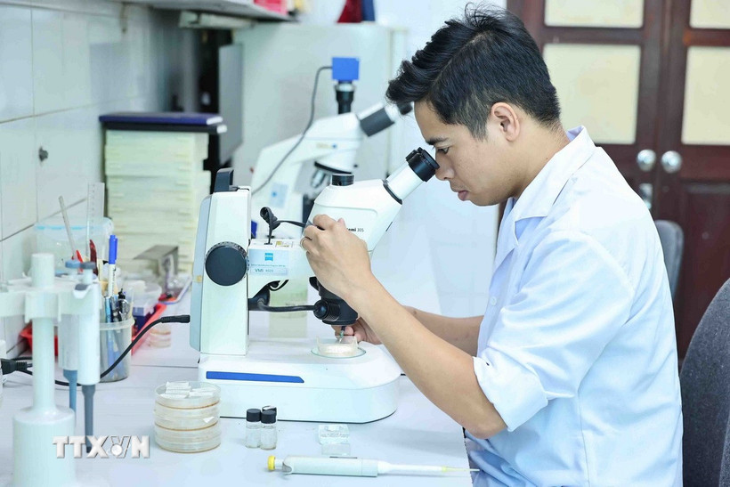 Ảnh minh họa. (Nguồn: TTXVN)