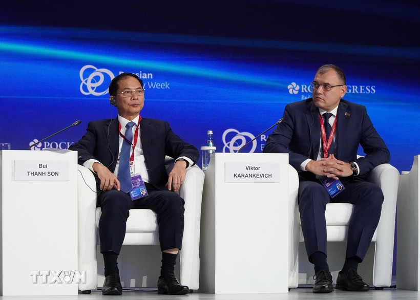 Phó Thủ tướng Bùi Thanh Sơn (trái) tại phiên thảo luận. (Ảnh: Tâm Hằng/TTXVN)