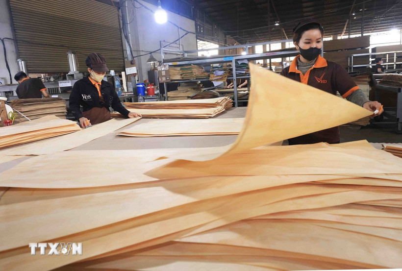 (Ảnh minh họa: Vũ Sinh/TTXVN)