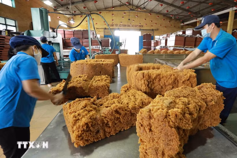 Sản xuất mủ cao su xuất khẩu ở nhà máy của Tập đoàn Công nghiệp Cao su Việt Nam. (Ảnh: Vũ Sinh/TTXVN)