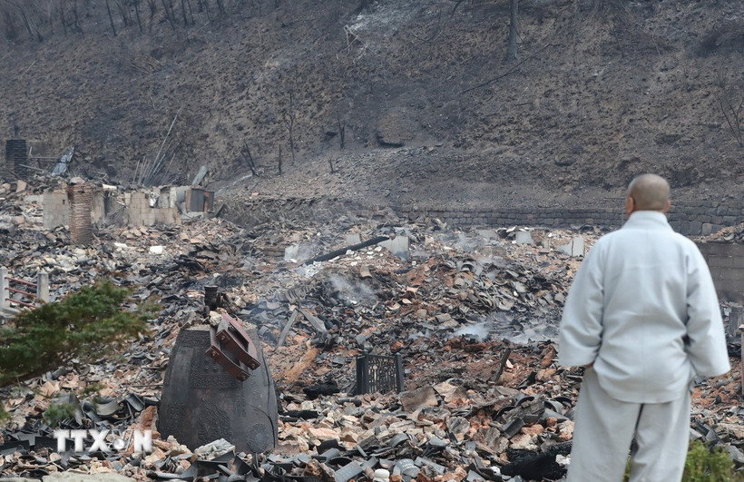 Một nNgôi đền cổ bị thiêu rụi hoàn toàn do cháy rừng tại Uiseong, tỉnh Gyeongsang Bắc, Hàn Quốc. (Ảnh: THX/TTXVN)