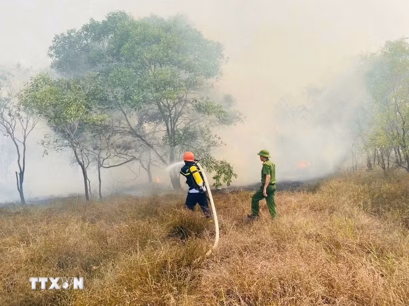 Lực lượng chức năng nỗ lực dập tắt đám cháy rừng tràm tại khu vực giáp ranh xã Nam Cửa Việt và Triệu Cơ ngày 26/6. (Ảnh minh họa: TXVN phát)
