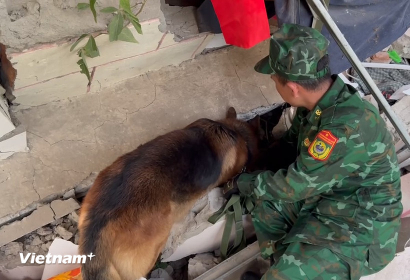 Chó nghiệp vụ Việt Nam phát hiện vị trí nguồn hơi. (Ảnh: TTXVN)