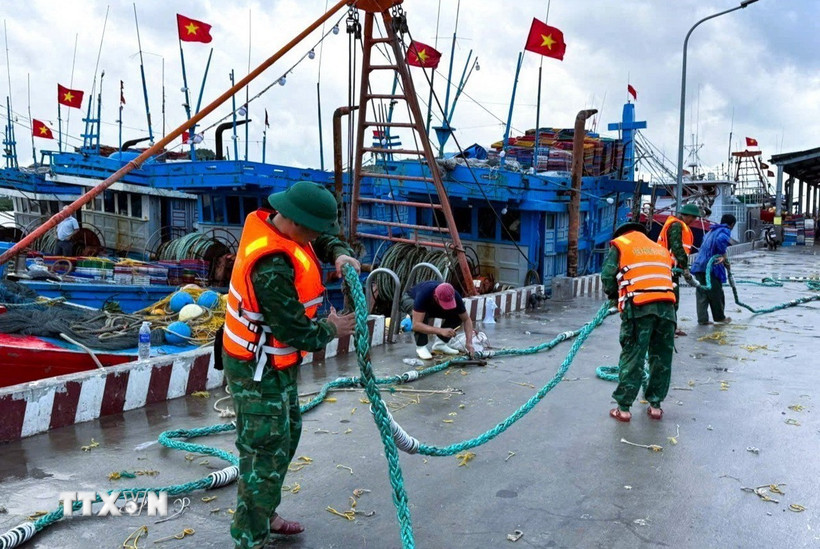 Cán bộ, chiến sỹ Đồn Biên phòng cửa khẩu cảng Cửa Lò - Bến Thuỷ (Bộ đội Biên phòng tỉnh Nghệ An) hỗ trợ ngư dân thu dọn ngư lưới cụ. (Ảnh: TTXVN phát)