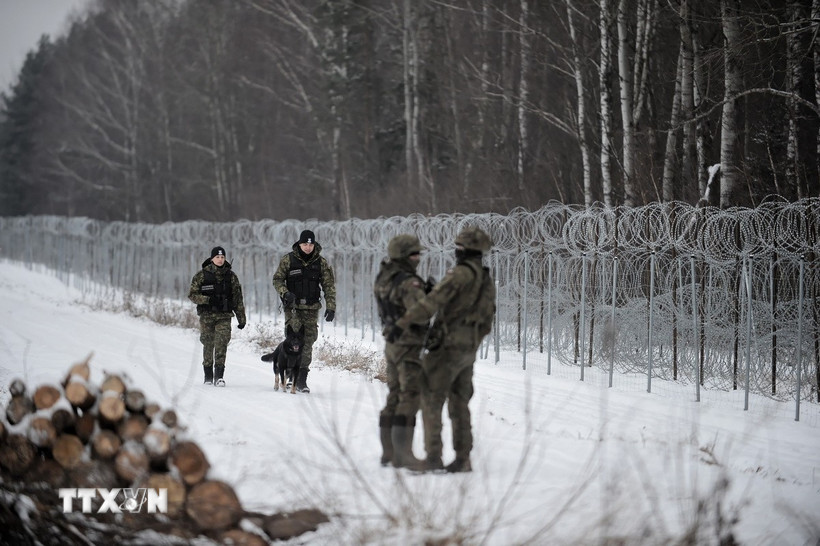 Binh sỹ Ba Lan tuần tra tại khu vực biên giới với Belarus ở gần làng Szudzialowo, Đông Bắc Ba Lan ngày 9/12/2021. (Ảnh: PAP/TTXVN)