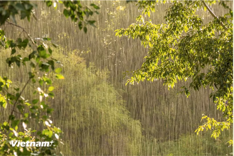 Thành phố Hà Nội có mưa rào và dông vài nơi. (Nguồn: Vietnam+)