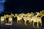 Các tác phẩm trang trí ánh sáng được thiết kế sáng tạo. (Ảnh: Ngọc Quang/TTXVN)