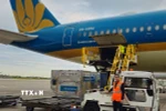 Những lô hàng vải thiều Hải Dương đầu tiên đã được hãng hàng không Vietnam Airlines chuyên chở đã hạ cánh tại sân bay quốc tế Charles de Gaulle của thủ đô Paris. (Ảnh: Nguyễn Thu Hà/TTXVN)