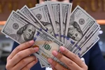 Đồng USD. (Ảnh: Getty images)