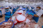 Dây chuyền chế biến thủy sản xuất khẩu. (Ảnh: Vũ Sinh/TTXVN)