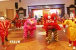 Múa lân, nét văn hóa đặc sắc trong dịp Tết cổ truyền của Việt Nam. (Ảnh: Xuân Tú/TTXVN)