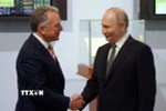 Tổng thống Nga Vladimir Putin (phải) tiếp Đặc phái viên của Tổng thống Mỹ Steve Witkoff tại thành phố St. Petersburg, ngày 11/4/2025. (Ảnh: REUTERS/TTXVN)
