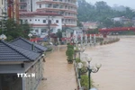 Nước sông Bằng đang lên rất nhanh, có thể gây ngập lụt ở các vùng trũng. (Ảnh: Chu Hiệu/TTXVN)
