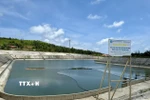 Hồ chứa nước ngọt có dung tích khoảng 45.000m3, lấy từ nguồn nước mưa thu hồi từ trên đồi xuống hồ chứa. (Ảnh: Minh Huệ/TTXVN)