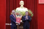 Trưởng Ban tổ chức Trung ương Lê Minh Hưng trao quyết định cho ông Phạm Đại Dương. (Ảnh: Trọng Đạt/TTXVN)