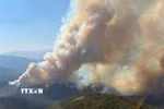 Khói bốc lên từ đám cháy rừng tại British Columbia, Canada. (Ảnh: THX/TTXVN phát)