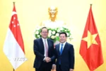 Bộ trưởng Công Thương Việt Nam Nguyễn Hồng Diên hội đàm với Bộ trưởng Công Thương Singapore Tan See Leng về việc mở rộng hợp tác kinh tế-thương mại-năng lượng hồi tháng 3/2024. (Ảnh: Trần Việt/TTXVN)