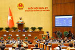 Đoàn đại biểu Quốc hội tỉnh Hà Tĩnh biểu quyết thông qua Luật Tổ chức Chính phủ (sửa đổi). (Ảnh: Doãn Tấn/TTXVN)