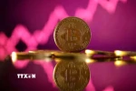 Đồng bitcoin. (Ảnh: Reuters/TTXVN)