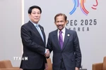 Chủ tịch nước Lương Cường gặp Quốc vương Brunei Hassanal Bolkiah. (Ảnh: Lâm Khánh/TTXVN)