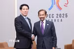 Chủ tịch nước Lương Cường gặp Quốc vương Brunei Hassanal Bolkiah. (Ảnh: Lâm Khánh/TTXVN)